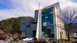 청년마을