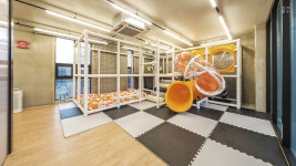 대부도키즈밸리