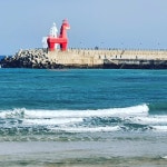 달고기네 은갈치 이호테우본점