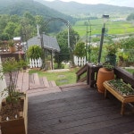 쑥뜸천하 힐링센터 본사