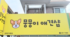 뭉뭉이애견샵