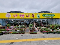 가행나무숲