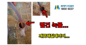 M케어 부산본부