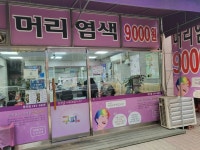 구피샵 수원정자점