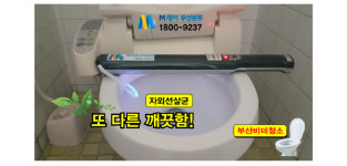 M케어 부산본부