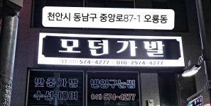 모던가발