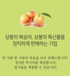 에나조은