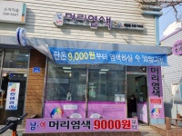 구피샵 주안점 | 구피샵 아산배방점
