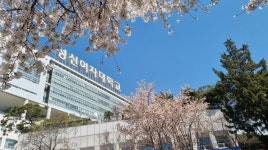 성신여자대학교 AI세무회계대학원