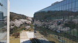 성신여자대학교 뷰티융합대학원