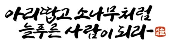 용인대아리솔태권도장