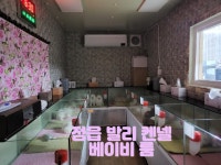 정읍발리켄넬