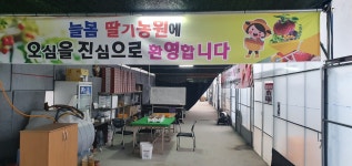 늘봄딸기농원