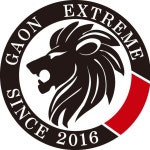 가온익스트림합기도주짓수