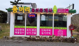 용머리공인중개사사무소