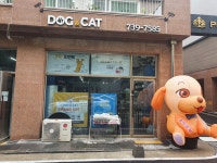 도그앤캣