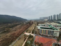갑천3블럭트리풀시티공인중개사사무소