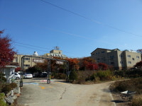 민들레병원