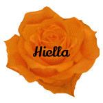 하이엘라