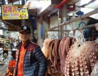 포항수협8번중매인