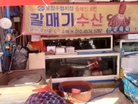 포항수협8번중매인