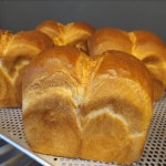 크로와상 제주빵집