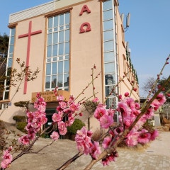 정관한빛교회