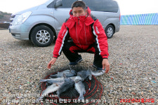 대부도바다낚시터