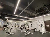 조아짐 피티앤필라