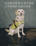 김포금파 경락 지압 안마센터