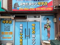 퍼펙트누수탐지공사하수구싹뚜러