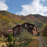 숲속의앨리스펜션