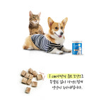 에코하이텍