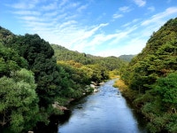 인제연가리오토캠핑장펜션