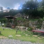 하얀고래 in 백야