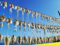 바닷가마을