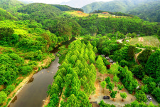 비발디캠핑파크
