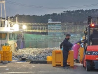 기장식품