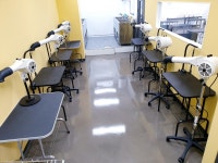 남양주애견미용학원