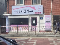 우리집강아지