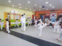 차돌 태권도