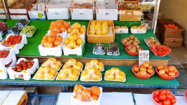 과일이랑 채소랑