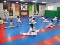 용인대 태권도 대소 정도장