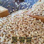 밥보야