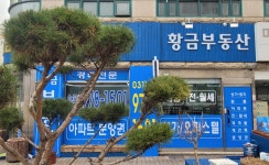 황금공인중개사사무소