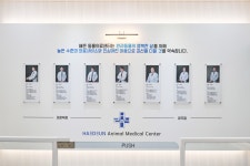 24시해든동물의료센터 민락점