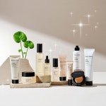 인셀덤 원더풀홀릭2