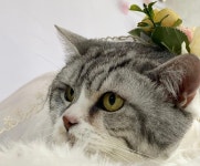 마이티그루밍 약수점