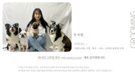 마이티그루밍 약수점