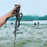 패밀리하우스
